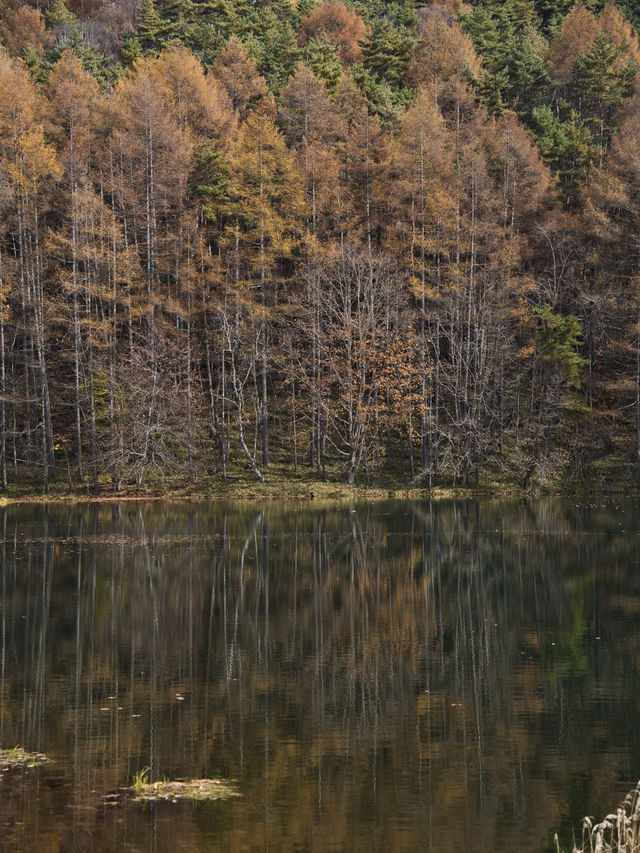 【長野】水面に映り込む超神秘的や紅葉絶景✨✨