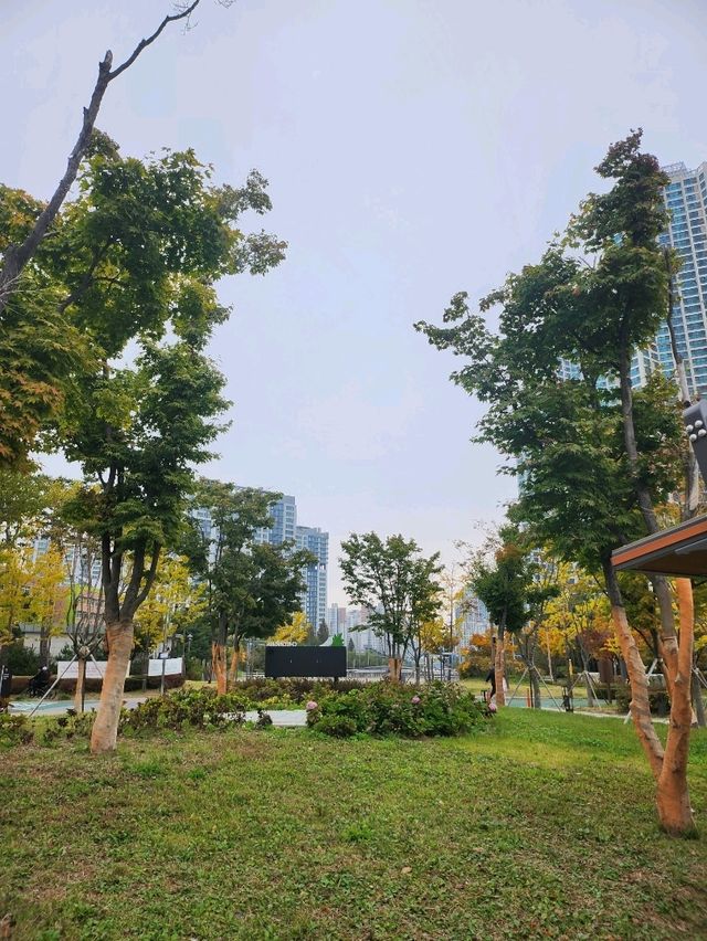 가을가을한 단풍 맛집 인천서구 청라 호수공원🌿