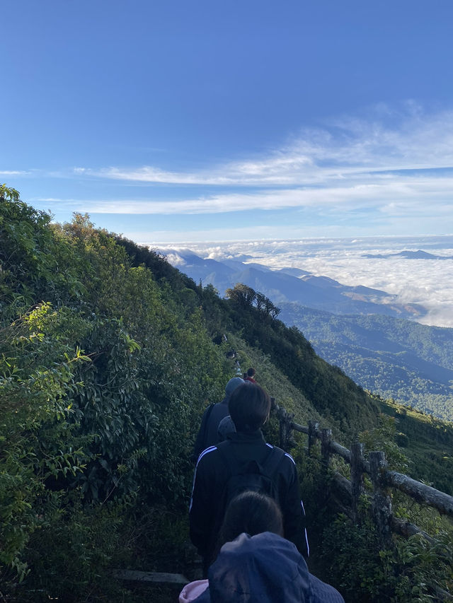 กิ่วแม่ปาน | ดอยอินทนนท์ 🚶🏻🌿🌳🥾