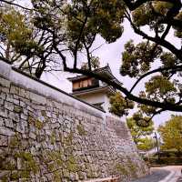 Black Castle Wonder: My Adventure Through Okayama’s Samurai History!
