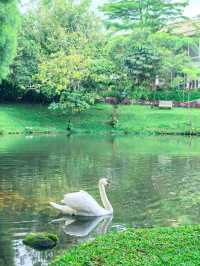 Awesome resort with a mini zoo