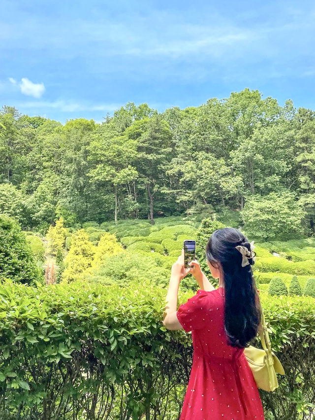 초록뷰에 수국까지 있는 서울근교 사진맛집🌿