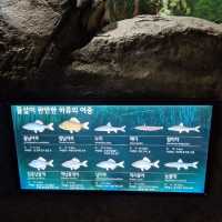 🌍 자연 생태를 배울 수 있는 교육적이고 평온한 공간 화담숲자연생태관🌍