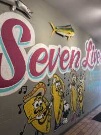 토론토에서 간단하지만 맛있게 한끼 먹고싶다면? 'Seven Lives Tacos y Mariscos'🇨🇦