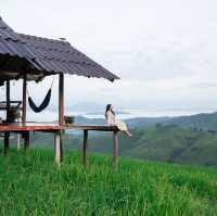 ป่าบงเปียง ที่พักไหนดี?