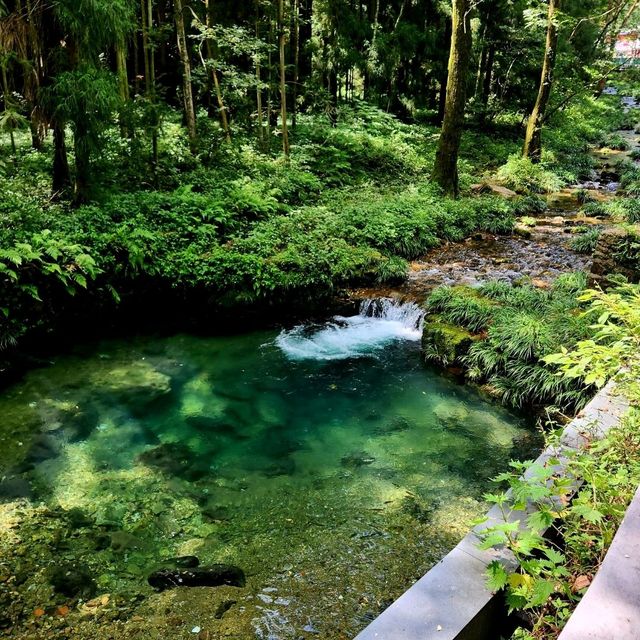 Discover the Wonders of Zhangjiajie