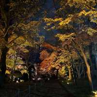 札幌🇯🇵中島公園的日與夜🍁