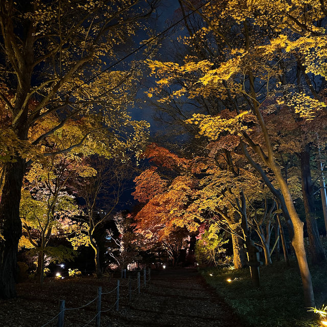 札幌🇯🇵中島公園的日與夜🍁