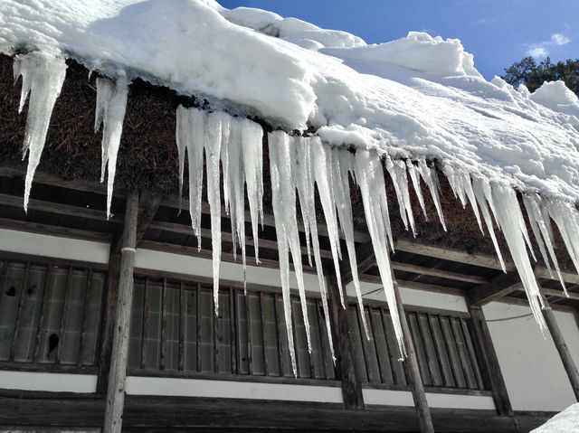 【岐阜県・白川】世界遺産 x 雪景色⛄️
