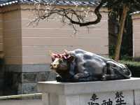 Dazaifu Tenmangu Fukuoka เที่ยววัดดาไซฟุ ฟุกุโอกะ