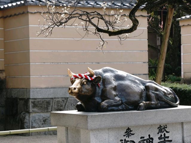 Dazaifu Tenmangu Fukuoka เที่ยววัดดาไซฟุ ฟุกุโอกะ