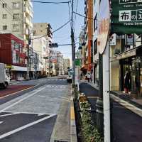 Fabric Heaven: My Colorful Adventure in Nippori Fabric Town!