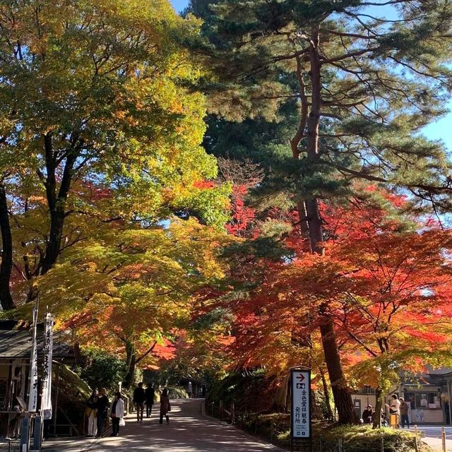 Hiraizumi, Iwate