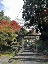 【栃木×佐野】 るろうに剣心のロケ地としても有名  紅葉 猫にも出逢える神社