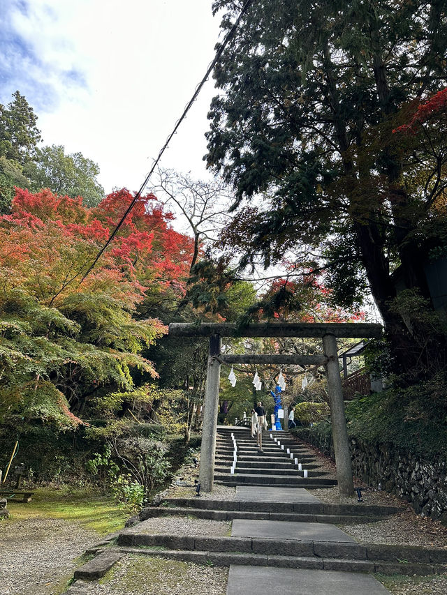 【栃木×佐野】 るろうに剣心のロケ地としても有名  紅葉 猫にも出逢える神社