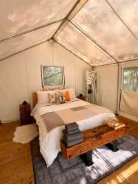 A Solo Glamping Getaway at Honeybee Hideaway