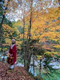 長野観光🥰🚂赤沢森林鉄道🚂素敵な紅葉を愛でながら癒される旅🍁