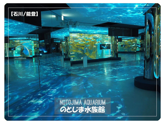 【石川/能登】癒しの幻想空間が広がる≪のとじま水族館≫ 