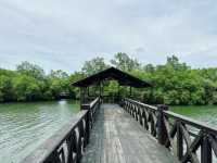 Exploring the Natural Beauty of Sungei Buloh Wetland Reserve