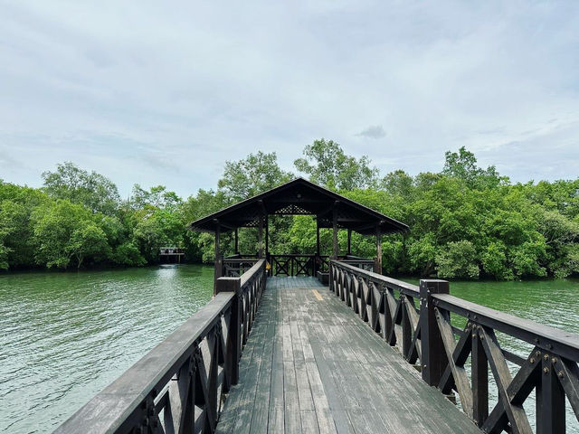 Exploring the Natural Beauty of Sungei Buloh Wetland Reserve
