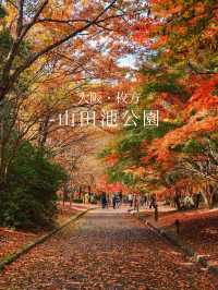 景點推薦：山田池公園——秋日賞紅葉的秘境