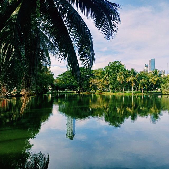 泰國曼谷著名城市綠洲公園景點:倫披尼公園，看野生大蜥蜴，城市湖泊美景，適合拍照打卡親子遊。