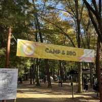 일본 치바 캠프&캠프장 [시미즈 공원 캠프장]🏕️