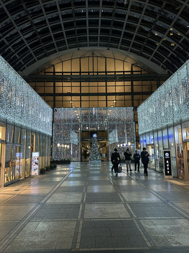 여유롭고 한적한 오다이바에서 느끼는 🎄크리스마스 감성 🎁일루미네이션 명소