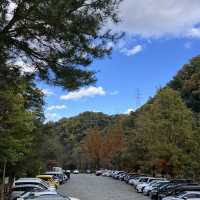 Hoshida Park และ สะพานแขวน Hoshi no Buranko