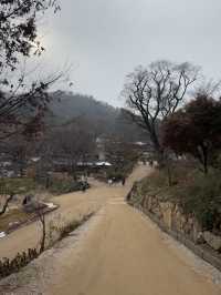 한 해를 차분히 마무리 하기 좋은 곳 ‘전등사’