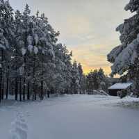 Inari - a place for charging up yourself 