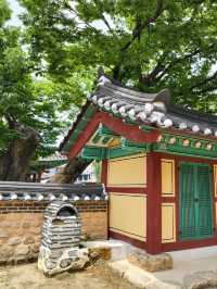 원주 도심에서 만나는 역사속 공간