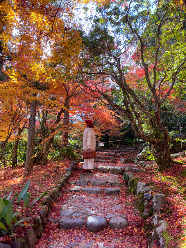京都嵯峨野の紅葉名所😊🍁小倉山の常寂光寺🍁