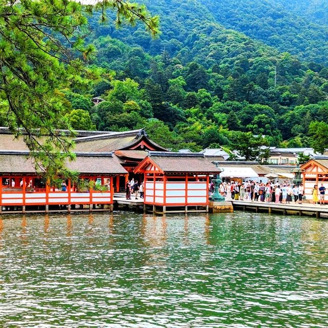 【宮島〜観光＆スポット〜】