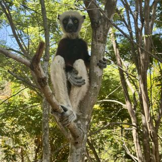 Amazing trip to Morondava, Madagascar