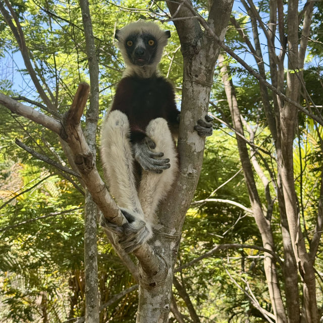 Amazing trip to Morondava, Madagascar