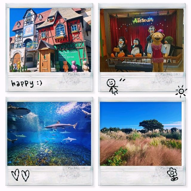 泰迪熊動物王國Teseum🐻濟州島Aqua Planet水族館🐠山茶花之丘🌻🌞旅遊景點介紹👍