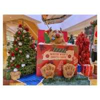 聖誕老人屋——Santa’s Grotto。金鐘太古廣場