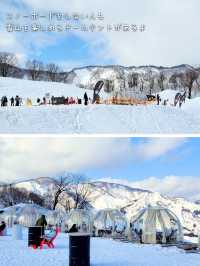 【新潟】石打丸山スキー場