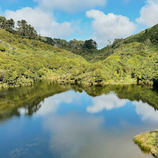 Zealandia Te Māra a Tāne: A Conservation Triumph