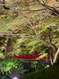 A sea of clouds in Japanese garden