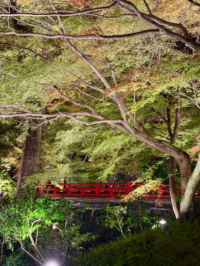 A sea of clouds in Japanese garden