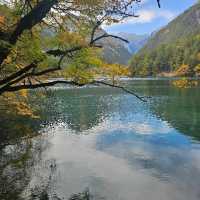 jiuZhaiGou Beautiful Fairytale World