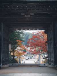 【高野山・金剛峯寺】紅葉の高野山おすすめスポット