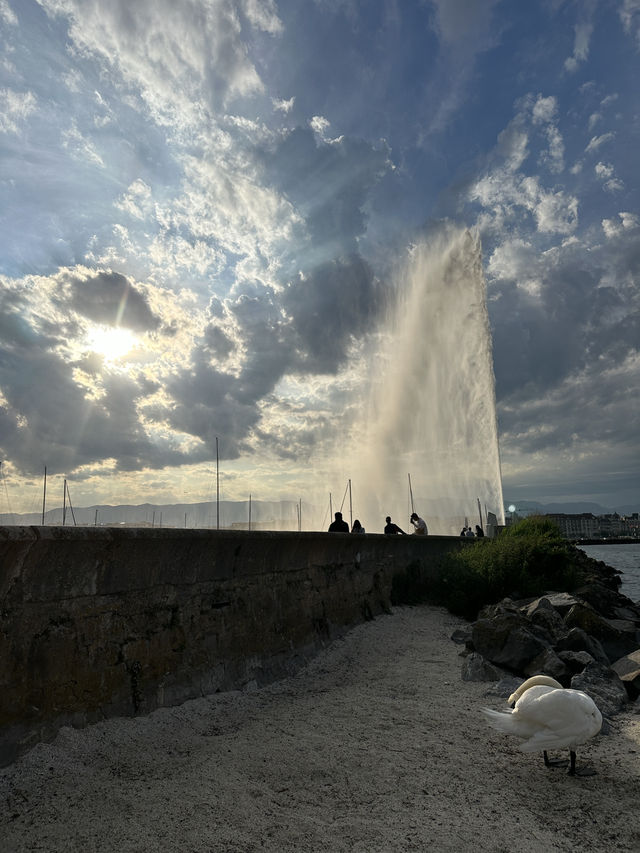 🇨🇭船河遊日內瓦湖⛲️近距離觀賞日內瓦大噴泉