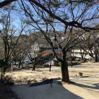 서울 한복판의 고즈넉한 사찰, 길상사