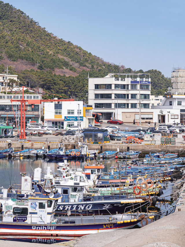 【韓国】釜山🇰🇷海沿いの街✨