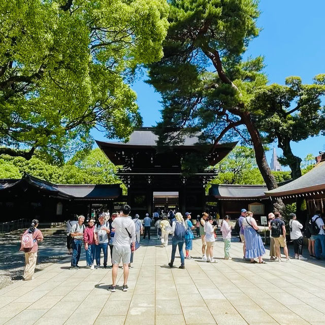 靜謐與文化交織的聖地—明治神宮