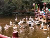 Jurong Bird Park