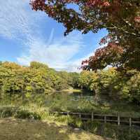 【岐阜観光】岐阜の自然を満喫できる絶景スポット